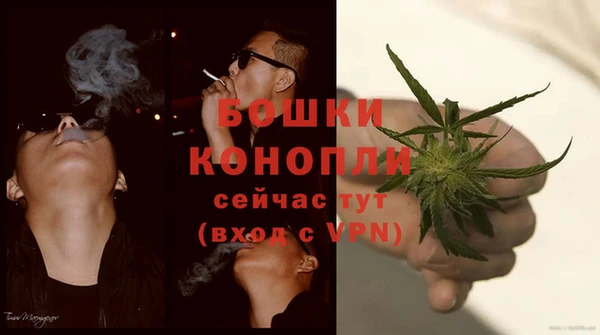 PSILOCYBIN Алексеевка