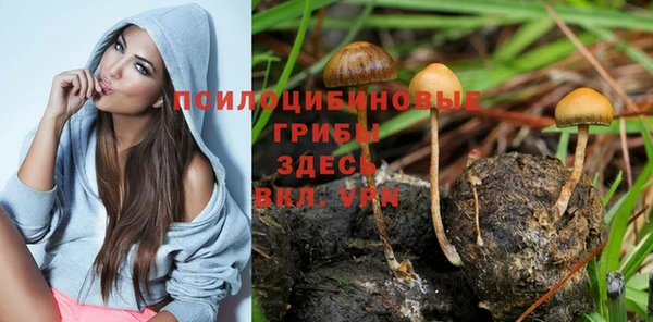 наркотики Алексин