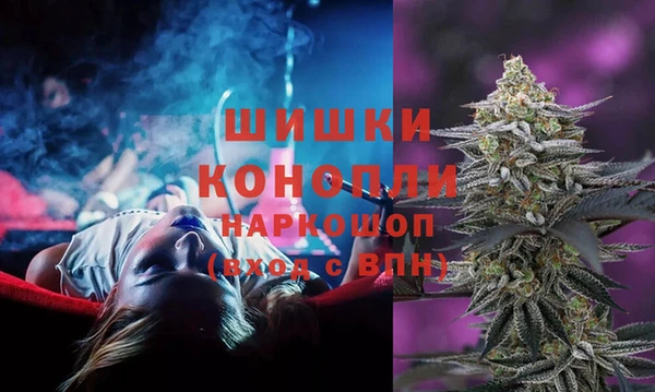 PSILOCYBIN Алексеевка