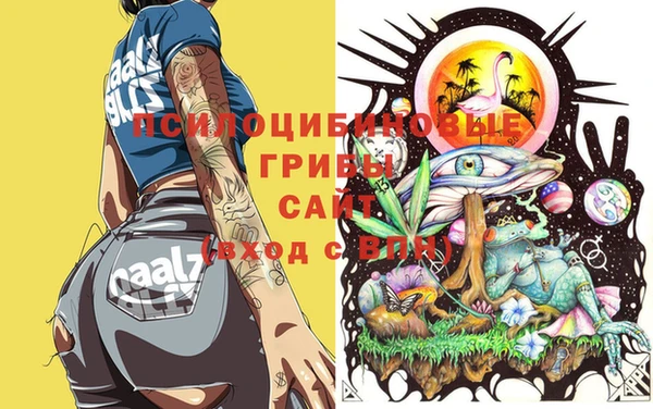 наркотики Алексин