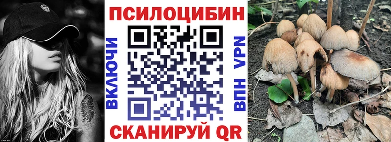 blacksprut маркетплейс  Биробиджан  Псилоцибиновые грибы Psilocybine cubensis 