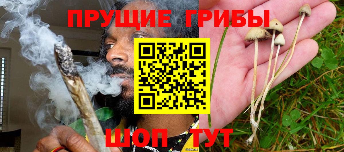 Биробиджан  Псилоцибиновые грибы GOLDEN TEACHER  Вход с VPN 